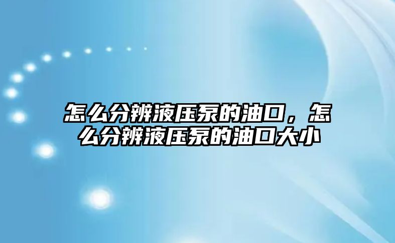 怎么分辨液壓泵的油口，怎么分辨液壓泵的油口大小