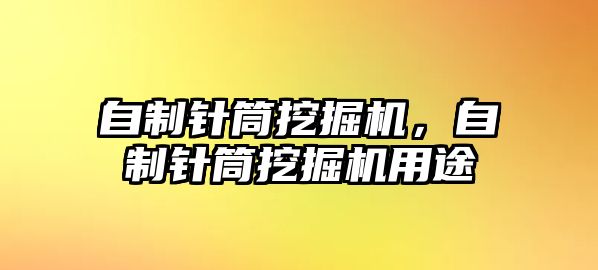 自制針筒挖掘機(jī)，自制針筒挖掘機(jī)用途