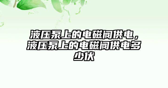 液壓泵上的電磁閥供電，液壓泵上的電磁閥供電多少伏