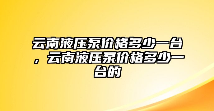 云南液壓泵價(jià)格多少一臺(tái)，云南液壓泵價(jià)格多少一臺(tái)的