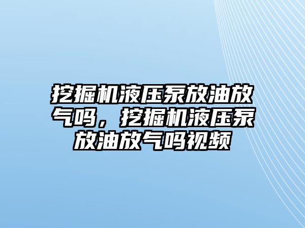 挖掘機(jī)液壓泵放油放氣嗎，挖掘機(jī)液壓泵放油放氣嗎視頻