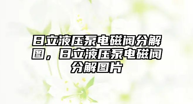 日立液壓泵電磁閥分解圖，日立液壓泵電磁閥分解圖片